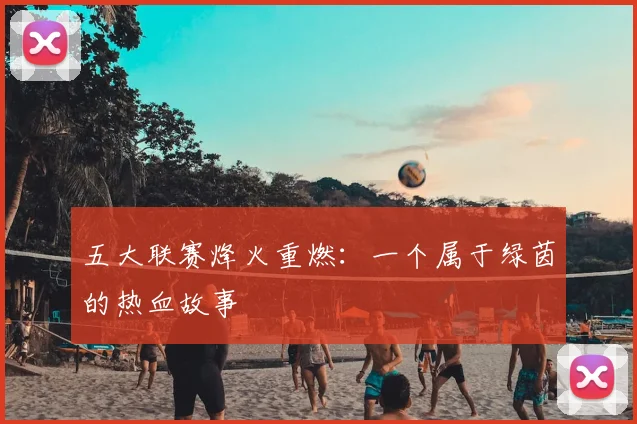 五大联赛烽火重燃：一个属于绿茵的热血故事